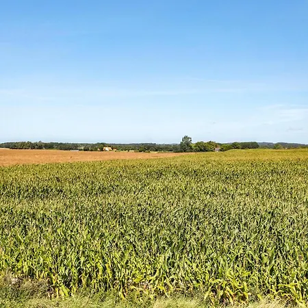 Casa de Férias Gorgeous In Faaborg With Sauna Bogentved