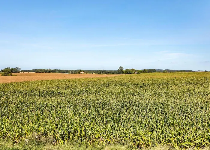Semesterbostad Gorgeous In Faaborg With Sauna Bogentved
